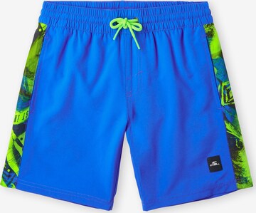 Pantaloncini da bagno di O'NEILL in blu: frontale