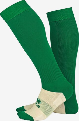 Errea Sports socks 'Calza' in Green: front