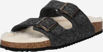 GEOX Slippers 'BRIONIA' in Grey: front