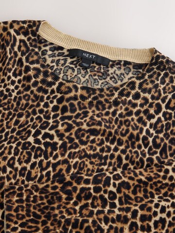 Next Sweater in Brown