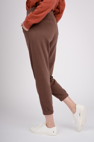 GIORDANO Regular Sweathose in Braun