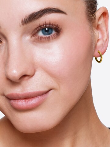 Boucles d'oreilles 'Tabea' Heideman en or