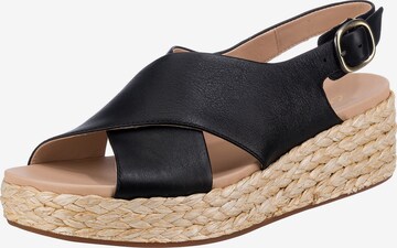 CLARKS Strap Sandals 'Kimmei' in Black: front