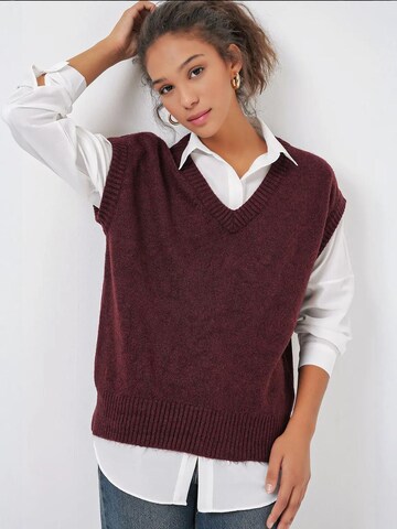 Bigdart Bodywarmer in Rood