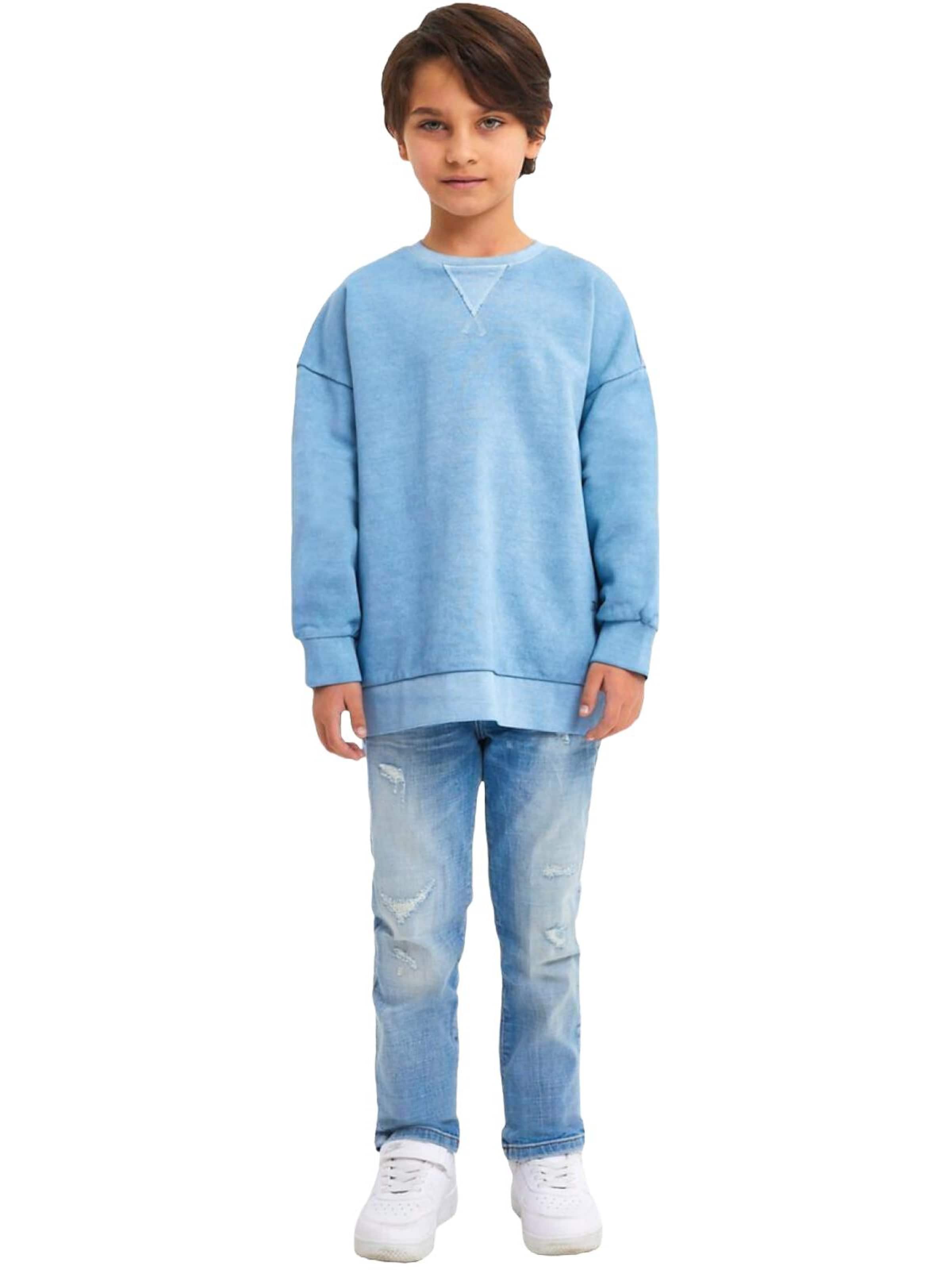 LTB Jeans Sweatshirt 'LTB Jeans Jungen Basic Sweatshirt mit Rückenprint' in Blue