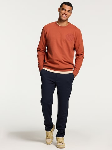 Shiwi Sweatshirt in Brown