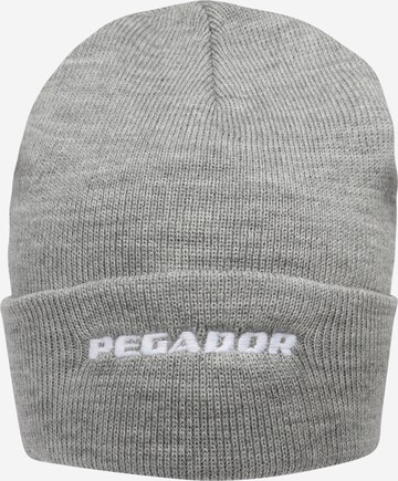 Pegador Beanie in Grey: front