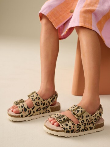 Next Sandal in Beige