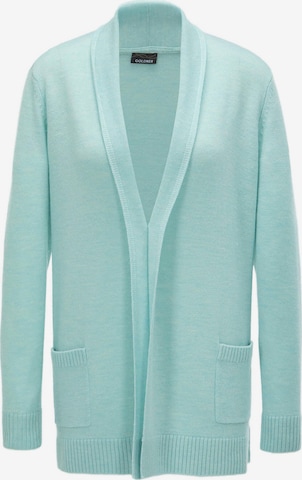 Goldner Gebreid vest in Groen: voorkant