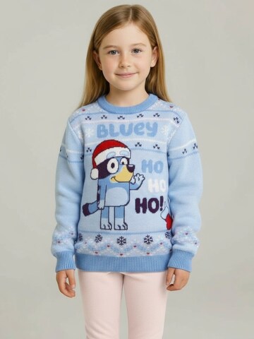 Bluey Sweater in Blue