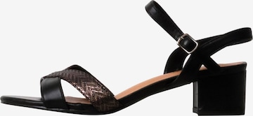 POTI PATI Sandals in Black: front