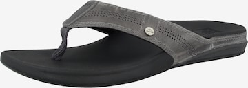 REEF Beach & Pool Shoes 'Cushion Lux' in Grey: front