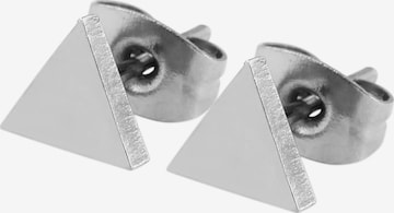Akzent Earrings 'Talvi, langlebig' in Silver: front