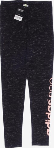ADIDAS NEO Pants in S in Grey: front