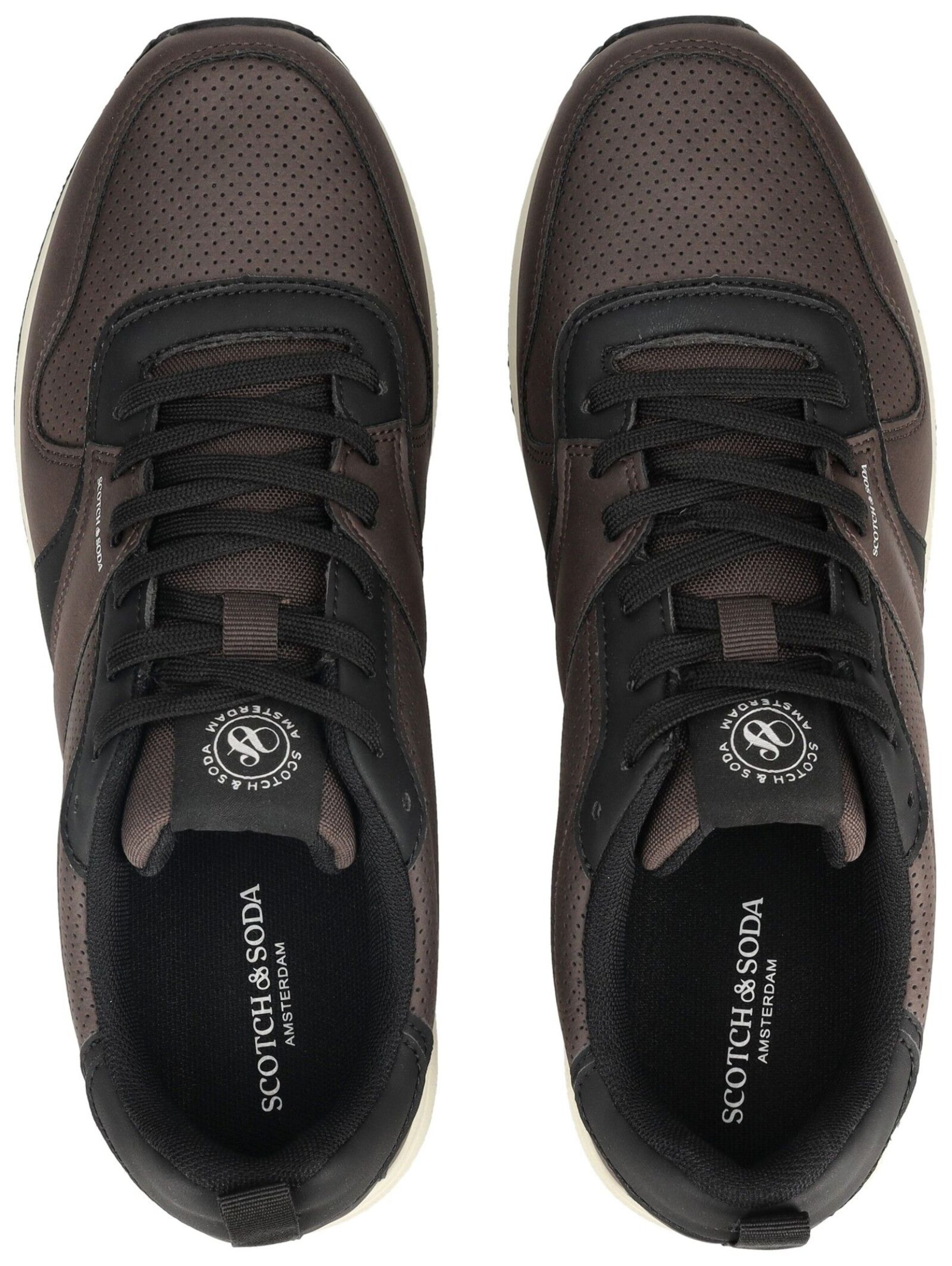 Baskets basses SCOTCH & SODA en marron