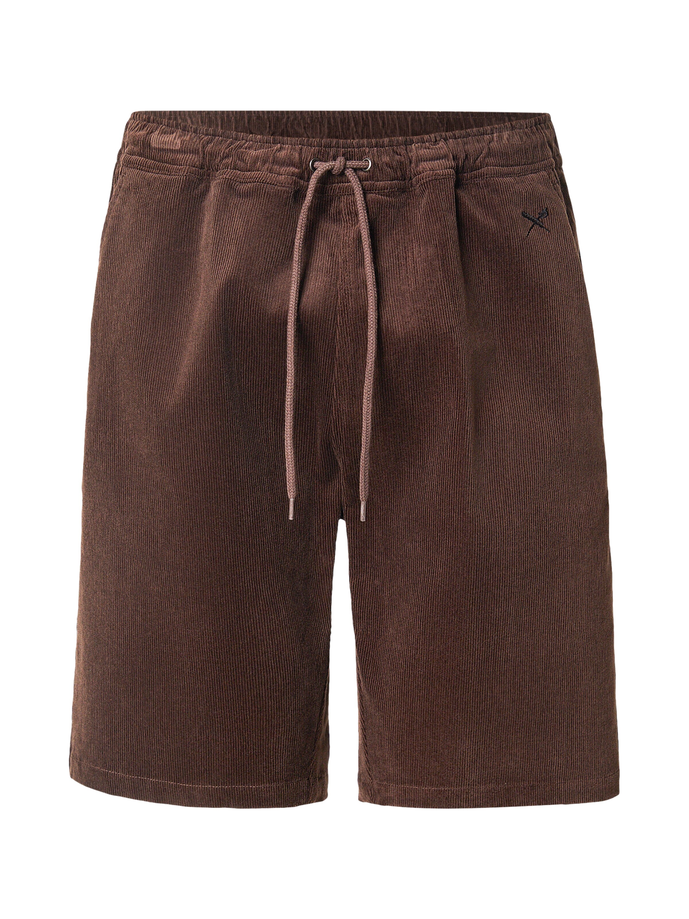 Iriedaily Παντελόνι 'Corvin' σε καφέ: μπροστά