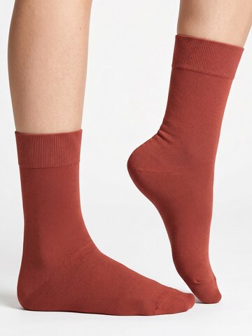 footstar Socks 'EVERYDAY!' in Red