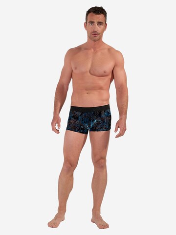 HOM Boxer shorts 'Fremont' in Black