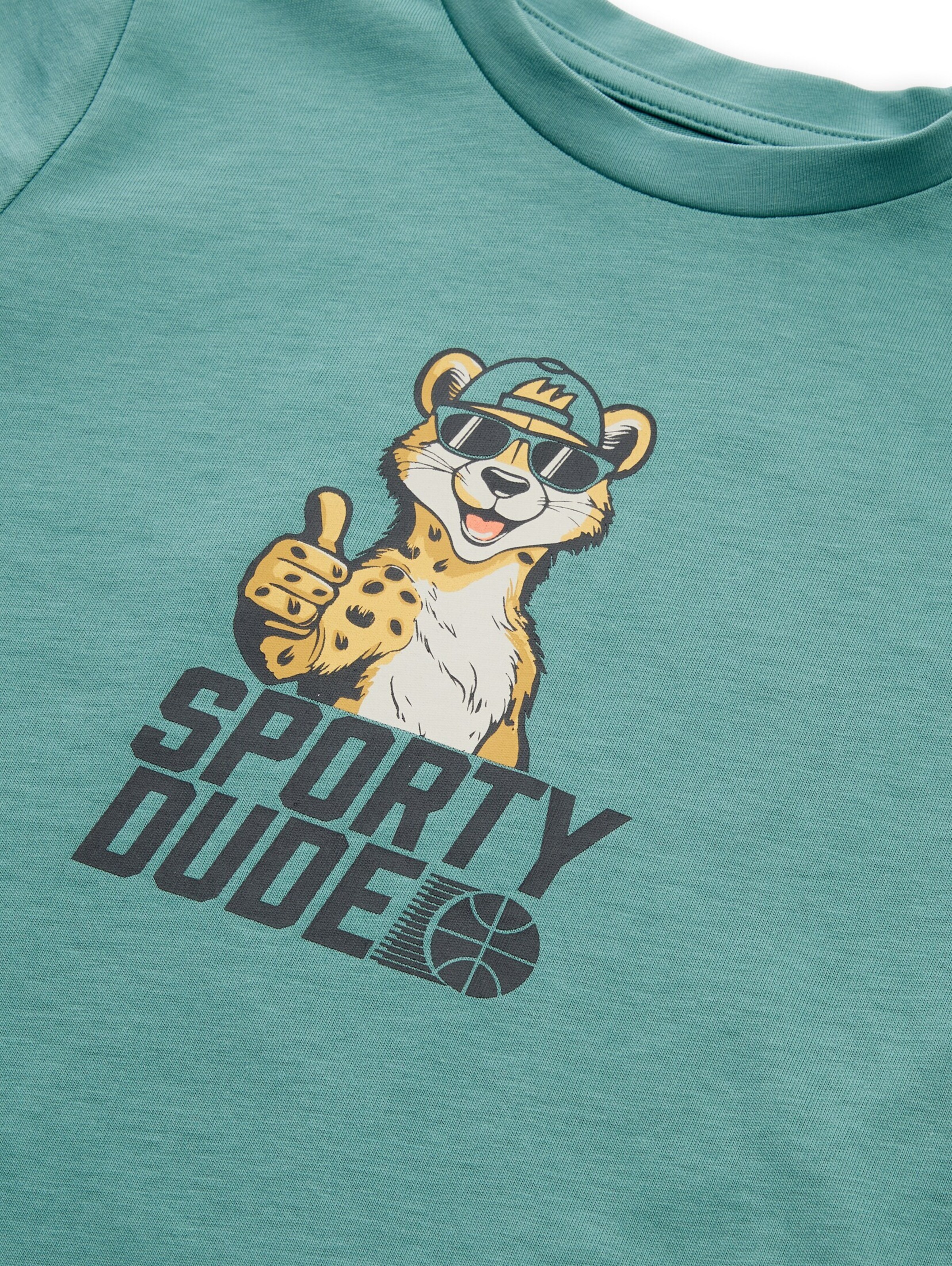 TOM TAILOR Shirt in Green