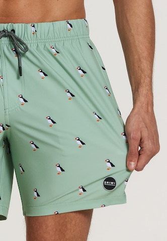 Shiwi Plavecké šortky 'puffin 4-way stretch' – zelená