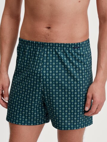 CALIDA Boxer shorts in Green