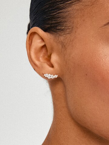 Pilgrim Earrings 'Jova' in Silver