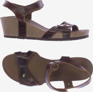 PANAMA JACK Sandals & High-Heeled Sandals in 41 in Brown: front
