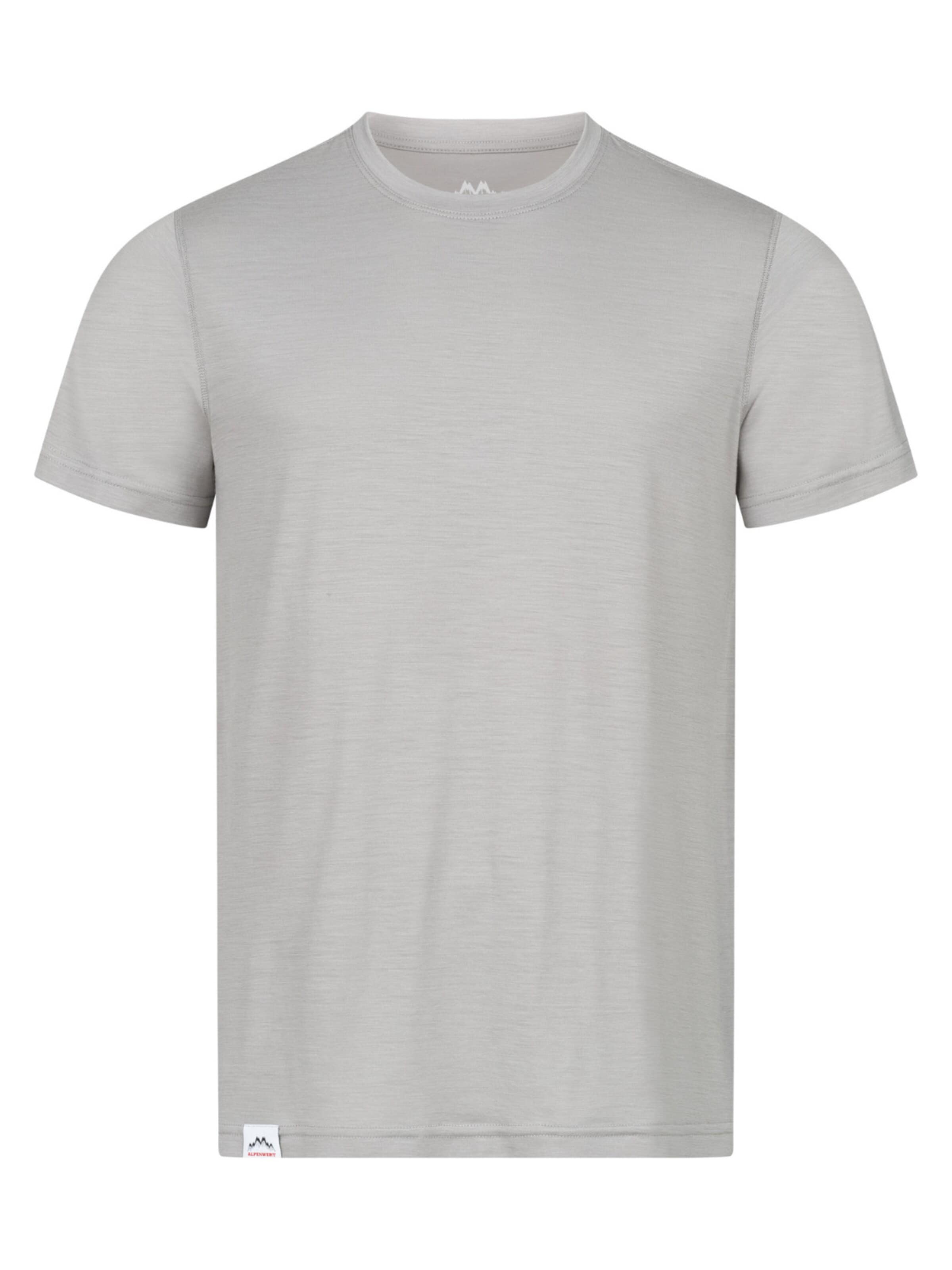 Alpenwert Shirt 'T-Shirt Herren Merino' in Grey: front