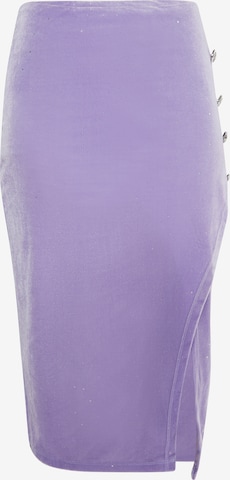 faina Skirt in Purple: front