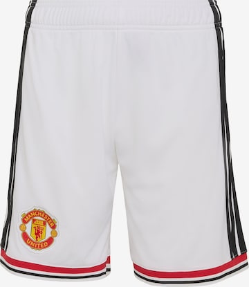 ADIDAS PERFORMANCE - Regular Calças de desporto 'Manchester United 26/27' em branco: frente