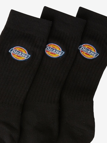 DICKIES Socken in Schwarz