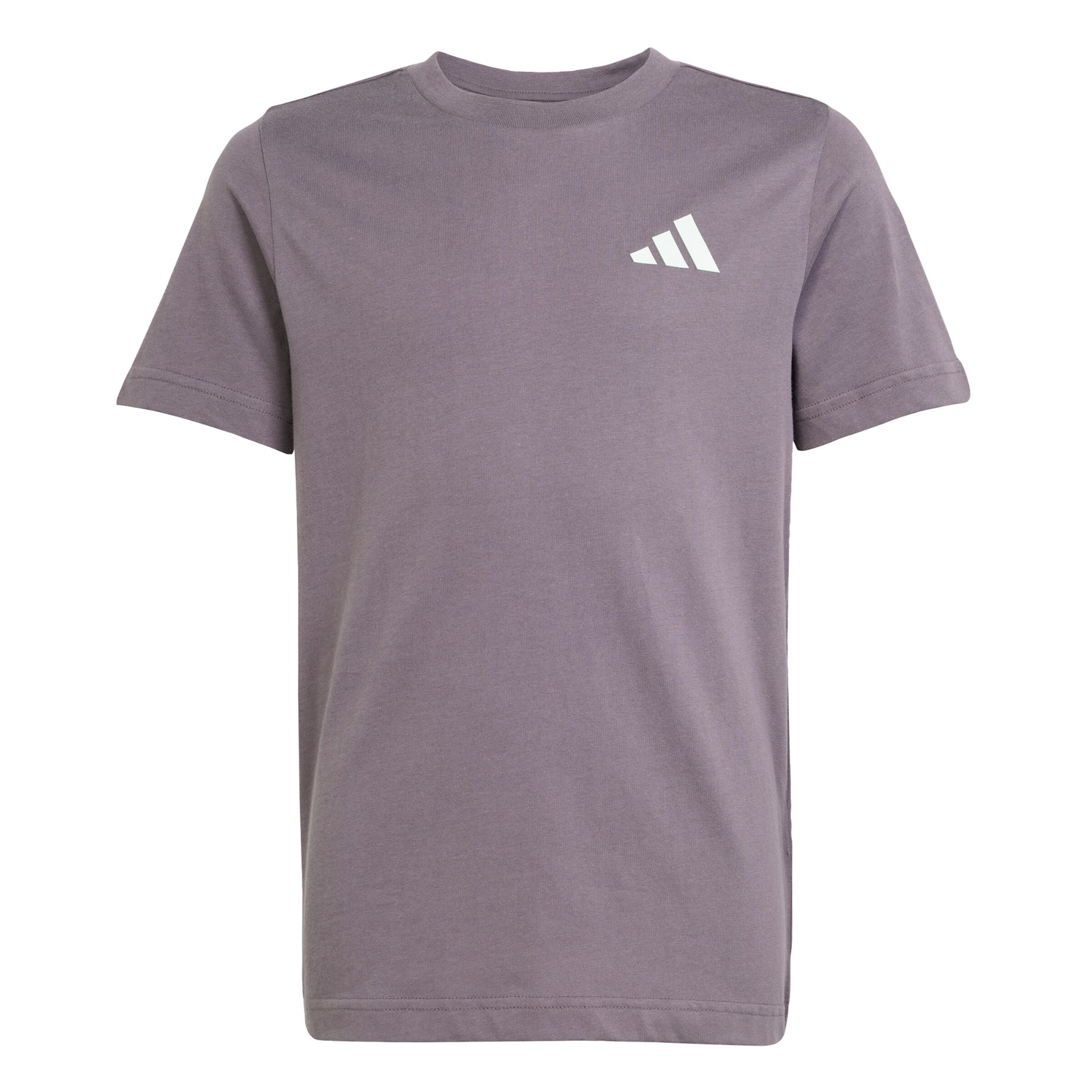 T-Shirt fonctionnel 'Mercedes - AMG Petronas Formula One Team' ADIDAS PERFORMANCE en violet : devant