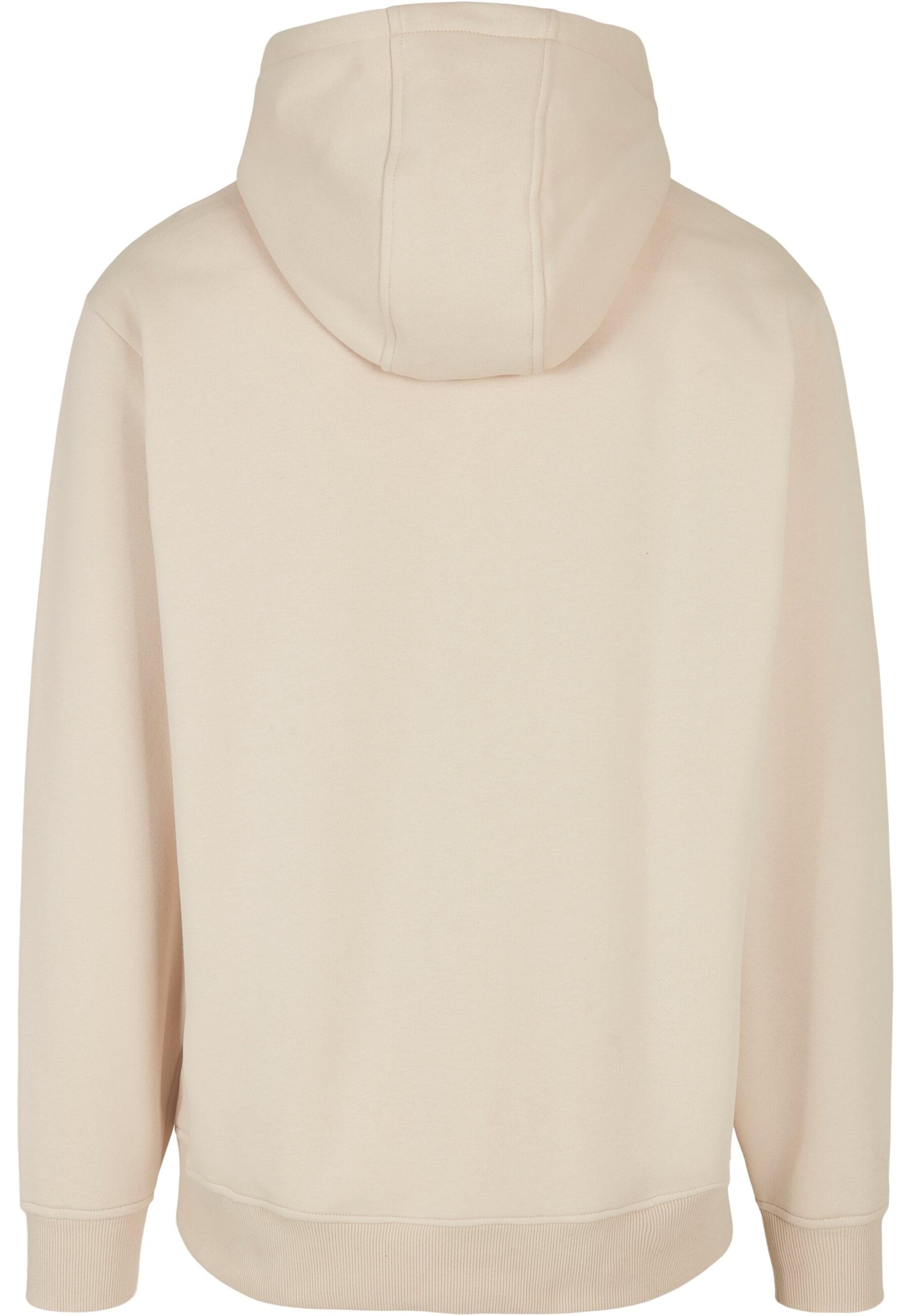 SOUTHPOLE Sweatshirt in Beige