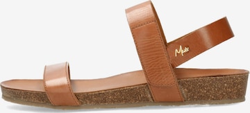 Sandale 'GROOVE' de la MEXX pe maro