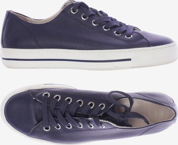Paul Green Sneakers & Trainers in 38,5 in Blue: front