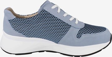 Finn Comfort Sneakers laag in Blauw