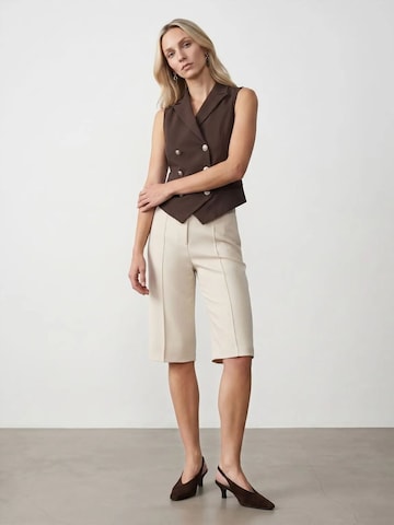 Gilet Dilvin en marron