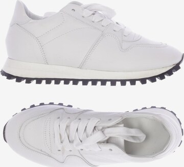 Closed Sneakers & Trainers in 37 in White: front