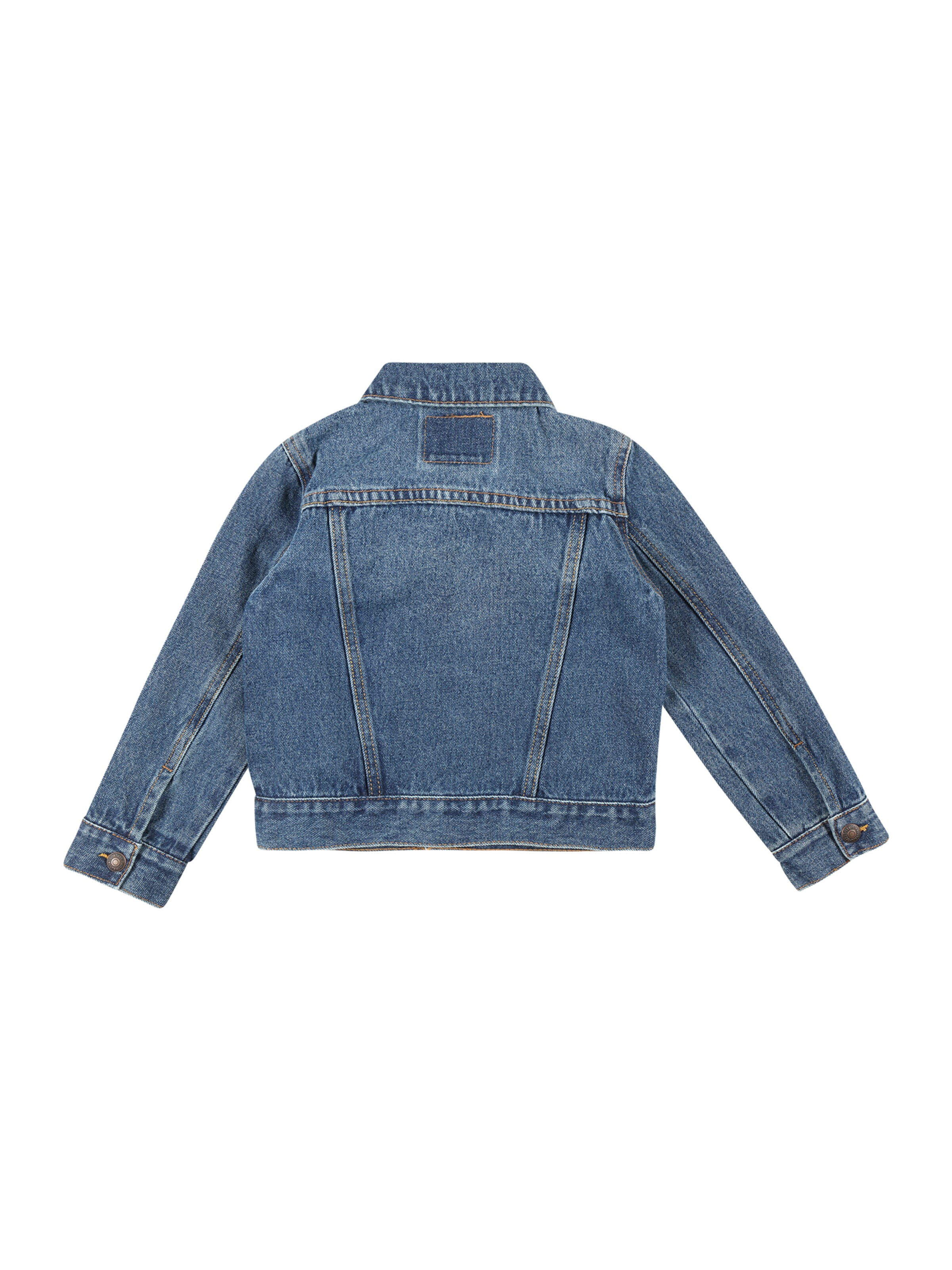 Geacă de primăvară-toamnă de la Levi's Kids pe albastru