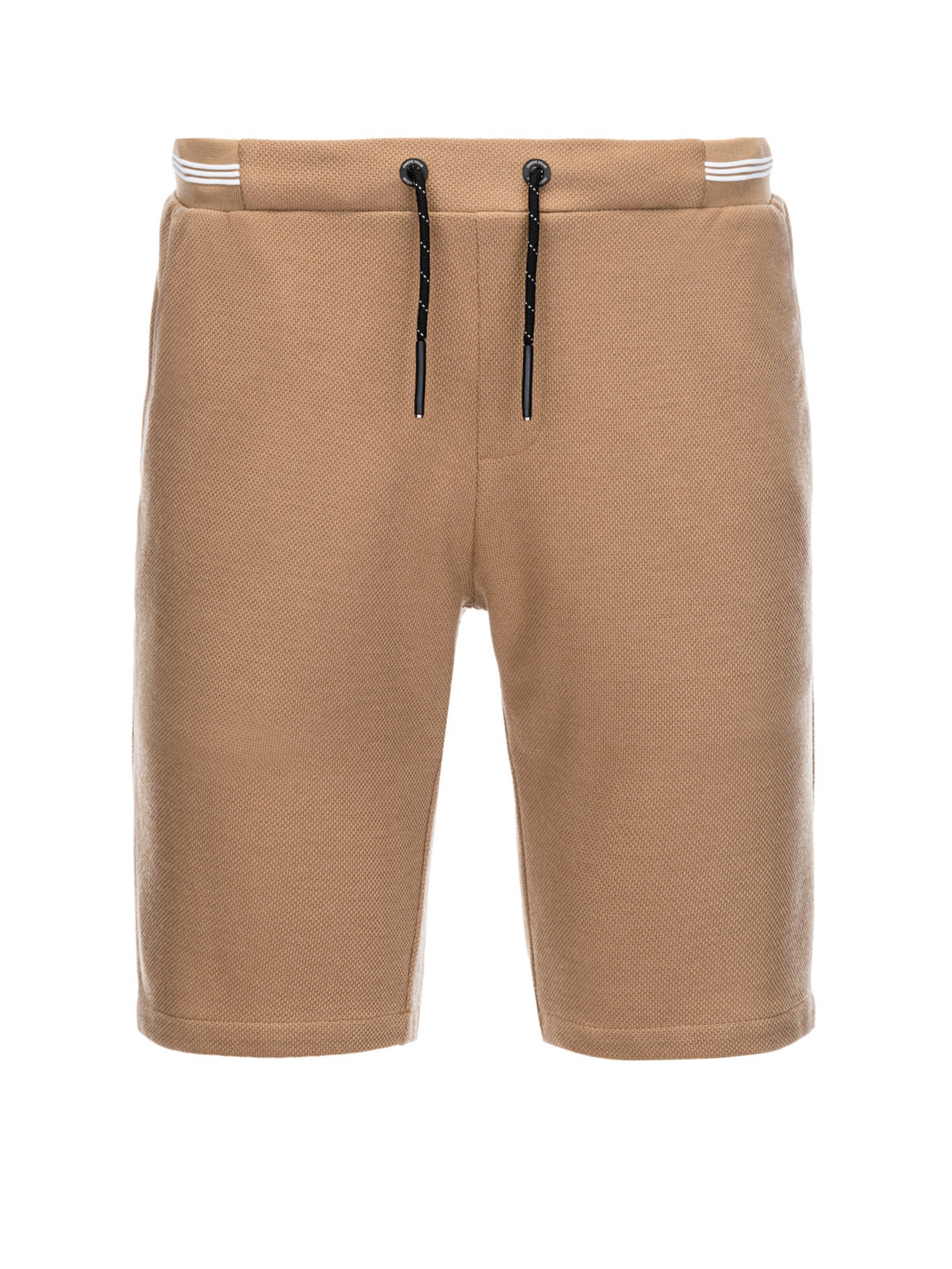 Ombre Regular Pants 'SRCS-0110' in Brown: front