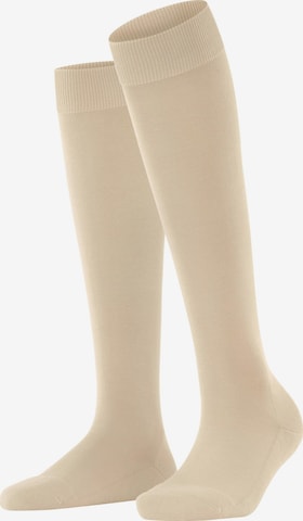 FALKE Knee High Socks 'ClimaWool' in Beige: front