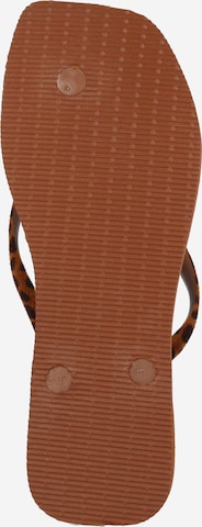 HAVAIANAS - Sandalias de dedo en marrón