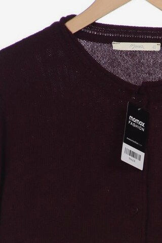 Maas Sweater & Cardigan in L in Brown