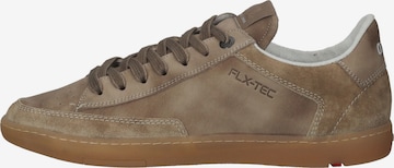 LLOYD Sneakers in Brown