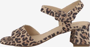 PETER KAISER Sandale in Braun: Vorderseite