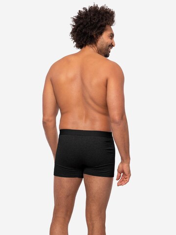 Almonu Boxershorts 'Cotton - Melange' in Grijs
