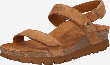 PANAMA JACK Sandals 'Selma B10' in Brown: front