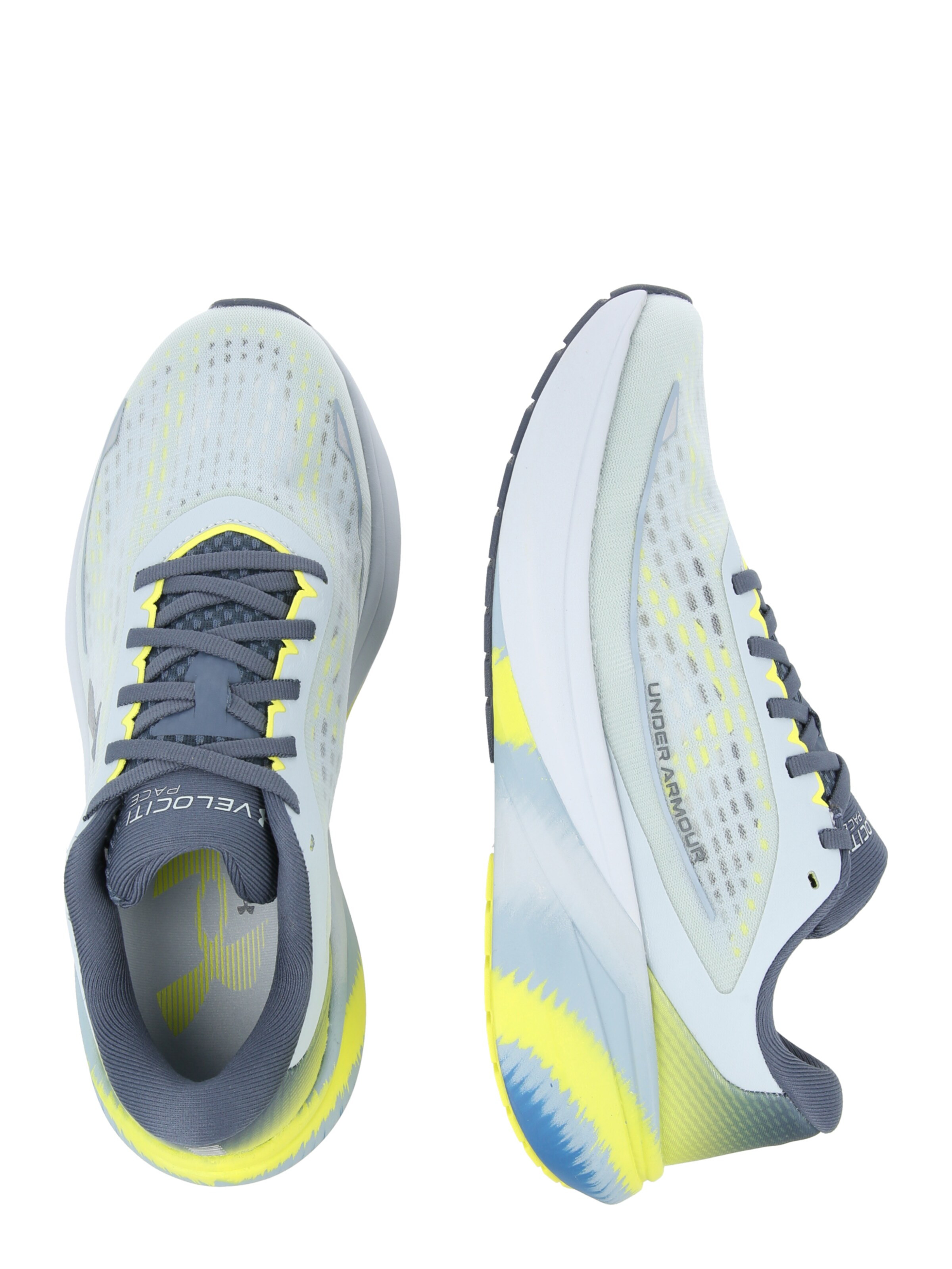 UNDER ARMOUR Παπούτσι για τρέξιμο 'Velociti Pace' σε μπλε