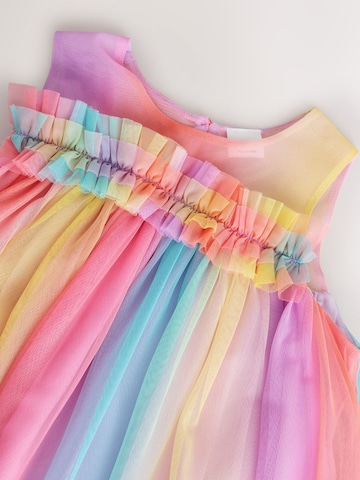 Next Kleid in Mischfarben