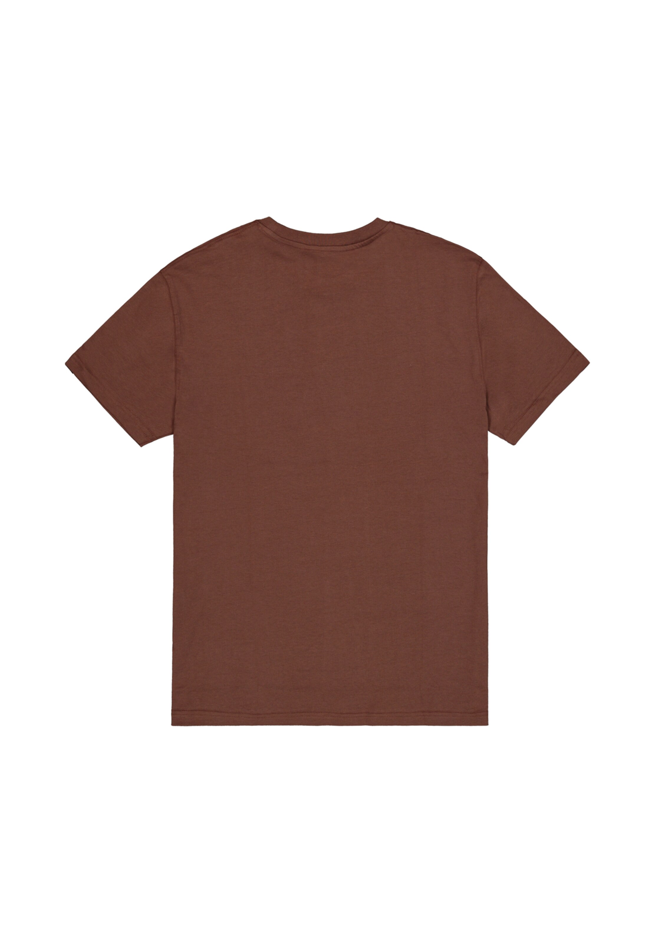 ALPHA INDUSTRIES Μπλουζάκι 'Foam' σε καφέ